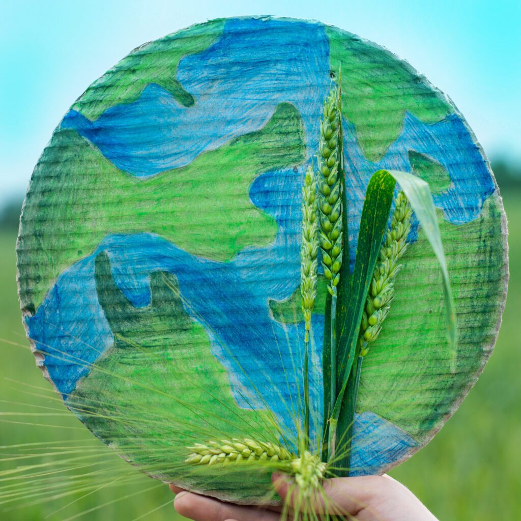ENVIRONMENTAL CARE ENVIRONMENTAL CARE